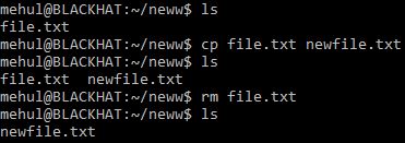 Renaming Files Cp Command