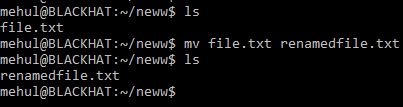 Renaming Files Mv Command