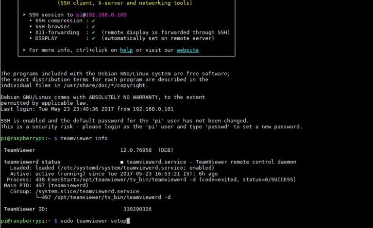 teamviewer raspberry pi install