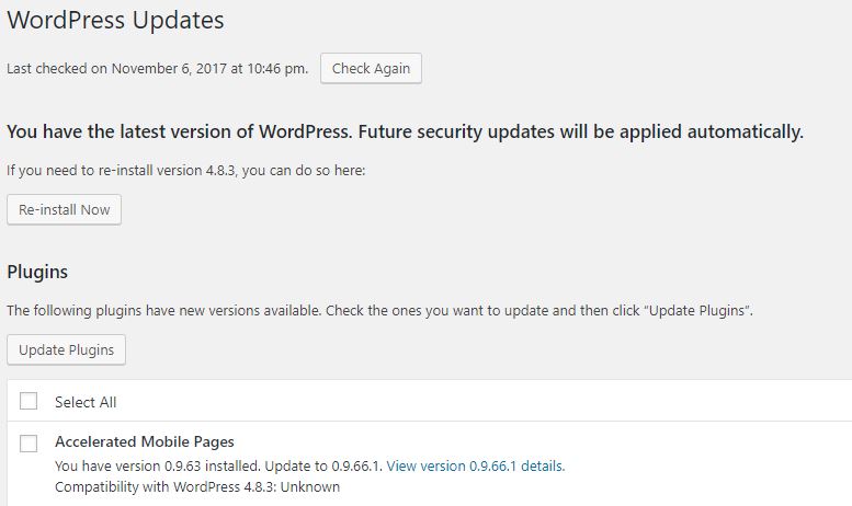 Wordpress Updates