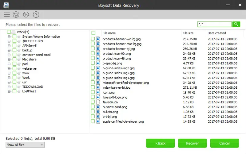 Iboysoft Data Recovery - Deleted Files