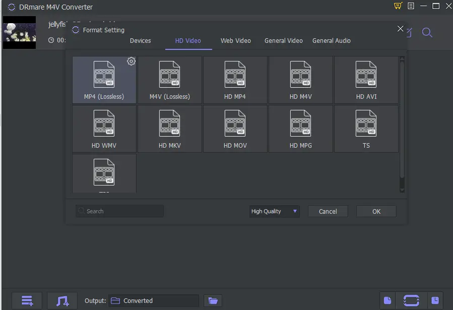 Drmare M4V Converter Format Settings