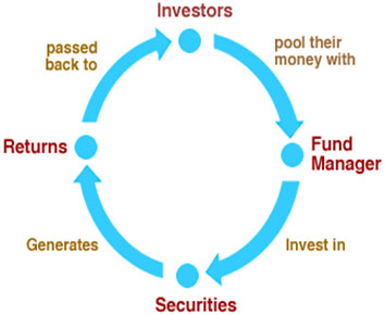 Mutual Fund