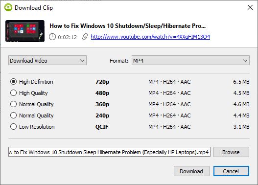 4k video downloader valid format