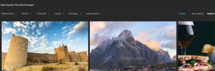 Focused Collection Review: Best Site to Download Royalty-Free Images?