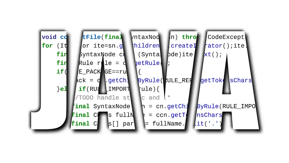 Java Programming Language