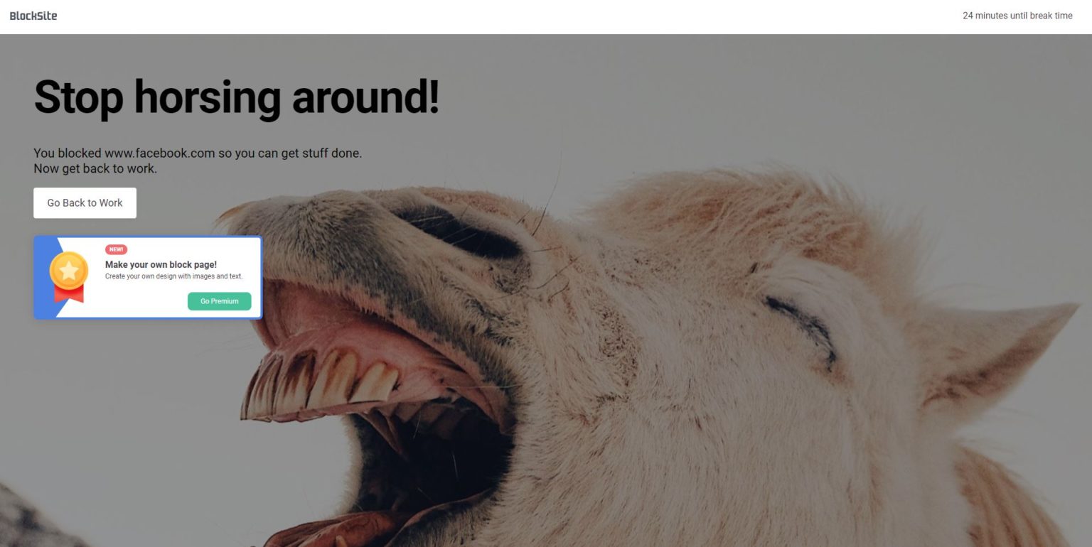 BlockSite Review Best Website Blocker for Better Productivity?