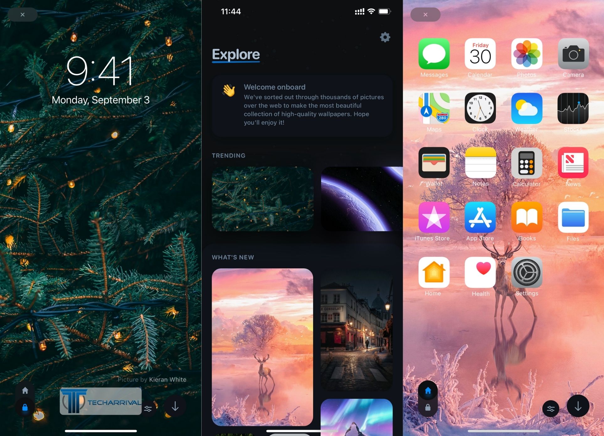 11 Best Wallpaper Apps For iPhone in 2024