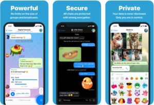 11 Best WhatsApp Alternatives You Can Use in 2024