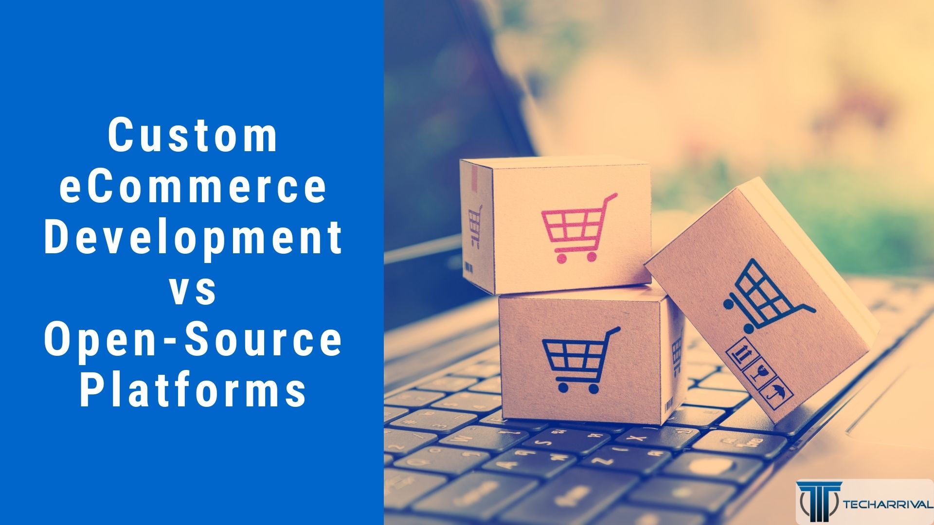 Custom eCommerce Development vs Open-Source Platforms