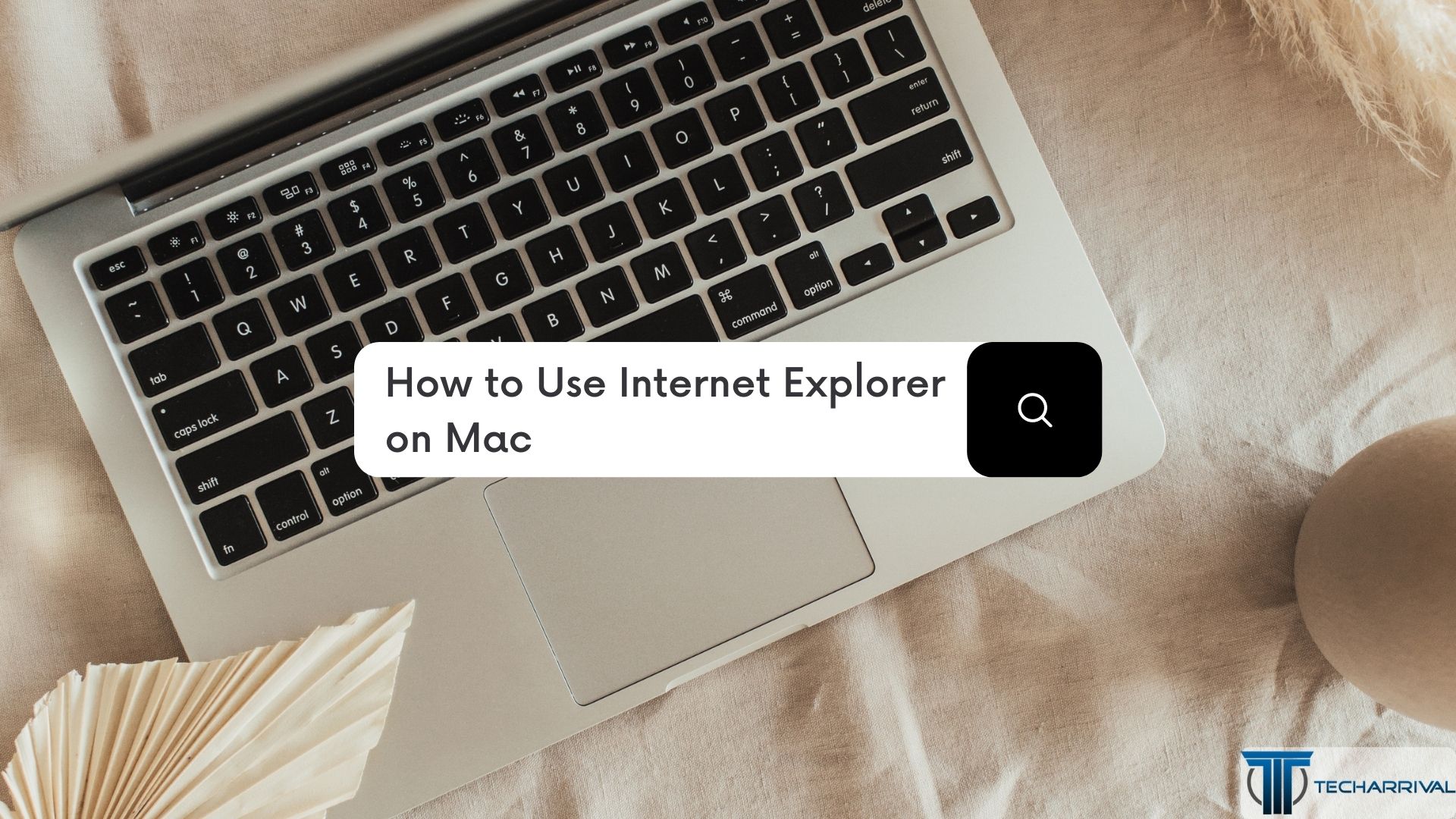 check internet explorer on a mac