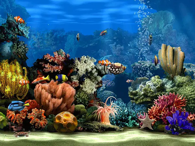 virtual aquarium screensaver