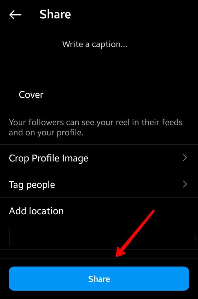 Instagram Reels Share Option