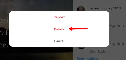 Instagram Website Comment Delete Option