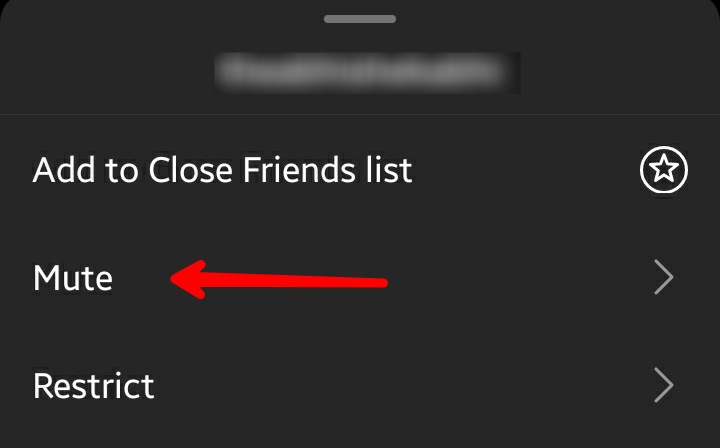 Instagram App Mute Option