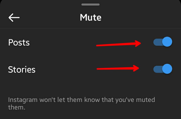 Instagram App Mute Options