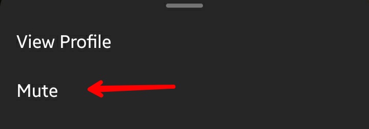 Instagram App Stories Mute Option