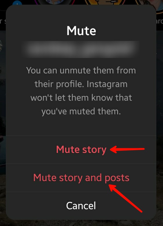Instagram App Stories Mute Options