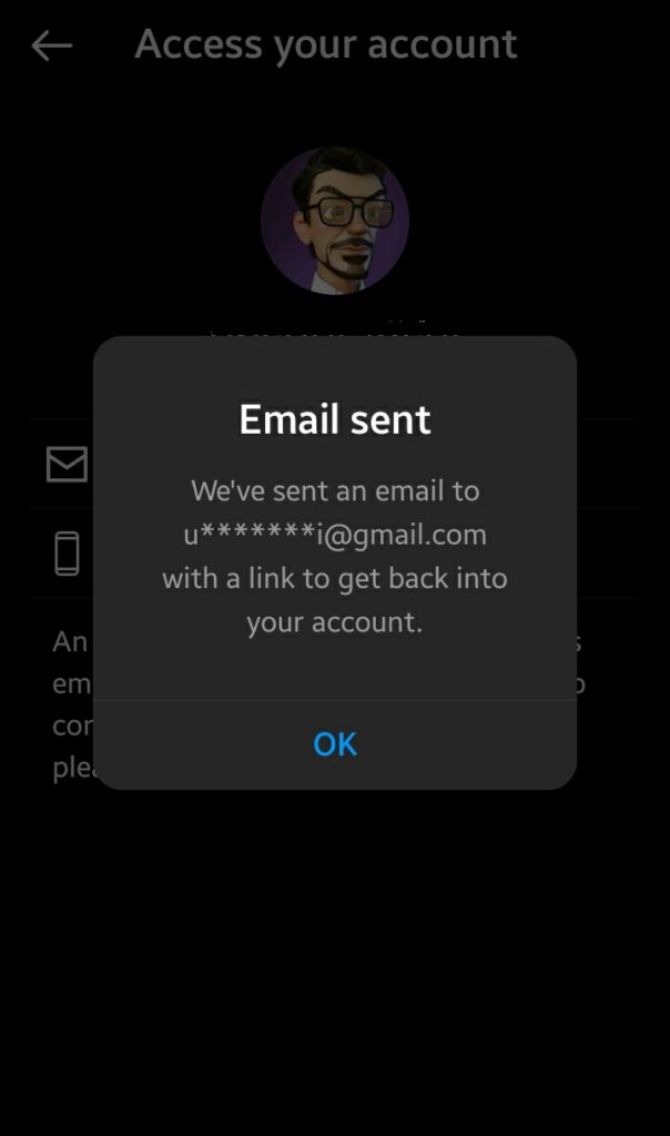 Instagram App - Reset Email Sent