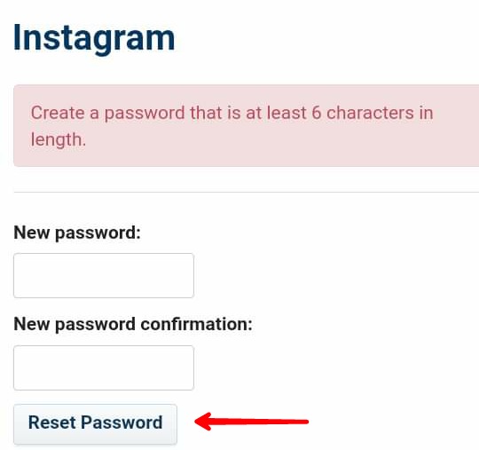 Instagram Website - New Password