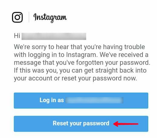 Instagram Website - Password Reset