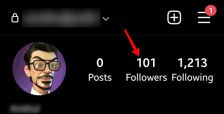 Instagram Profile Followers Count