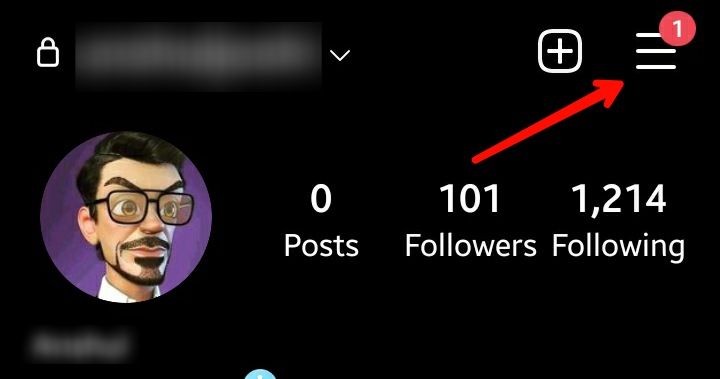 Instagram Profile Menu Option