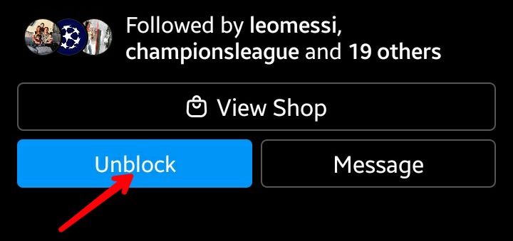 Instagram Profile Unblock Button