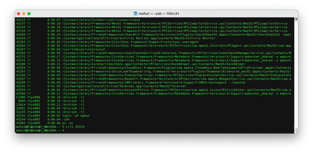 Mac Terminal Command Kill